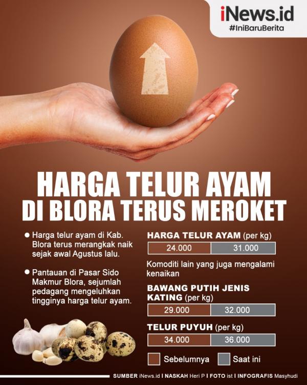 Infografis Harga Telur Ayam Di Blora Terus Meroket 8515