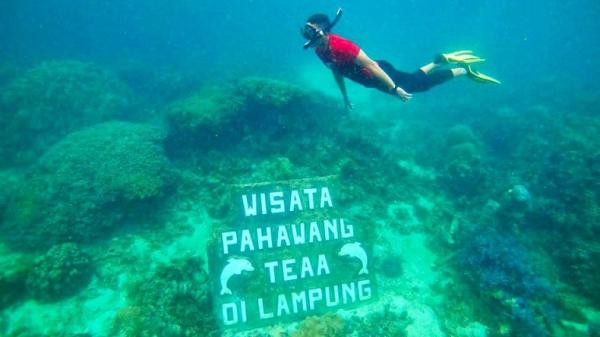 Mantap! Pulau Pahawang Lampung Masuk 50 Besar Anugerah Desa Wisata Indonesia 2022