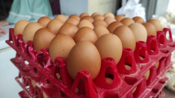Harga Beras dan Telur Ayam di Jakarta Naik Jelang Nataru, Ini Penyebabnya