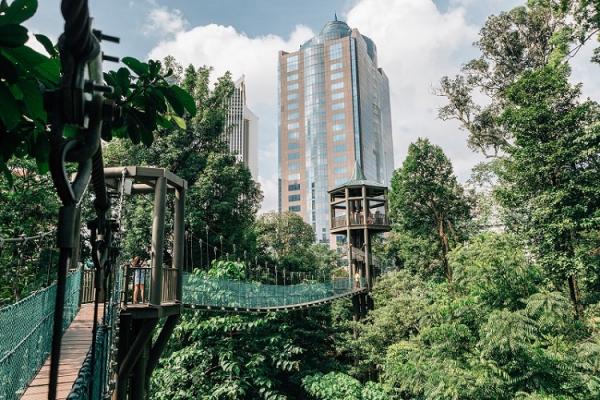 Bukit Nanas Kuala Lumpur. (Foto: Shutterstock)