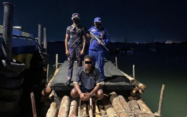 Kapal Pengangkut Kayu Ilegal Ditangkap di Batam, Nakhoda Diupah Rp300.0000