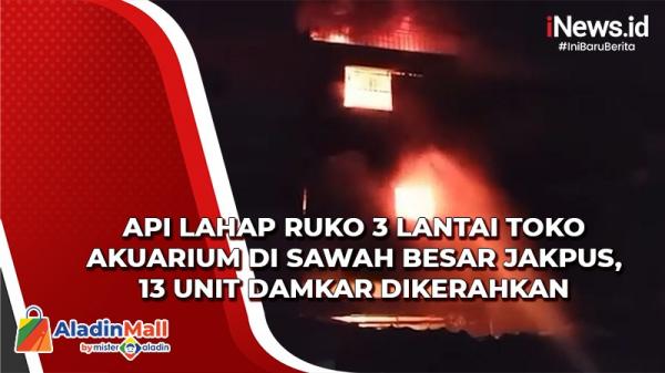 Api Lahap Ruko 3 Lantai Toko Akuarium di Sawah Besar Jakpus, 13 Unit Damkar Dikerahkan