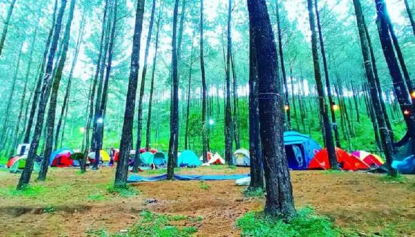 Putuk Panggang Welut (Foto: IG @roryasrory).