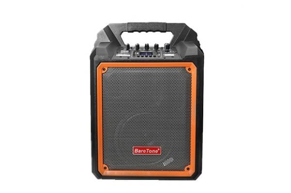 Baretone portable hot sale speaker