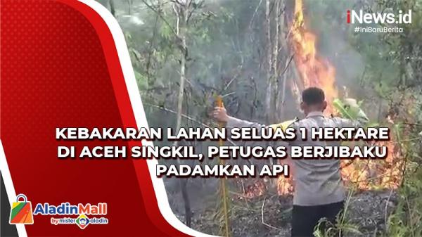 Kebakaran Lahan di Aceh Singkil, Petugas Damkar Kesulitan Padamkan Api