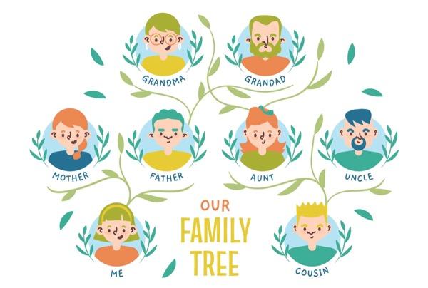 gambar pohon keluarga atau family tree