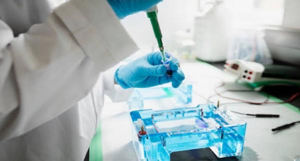 Ketahui Manfaat Tes DNA untuk Kesehatan hingga Mengenal Karakteristik Tubuh 
