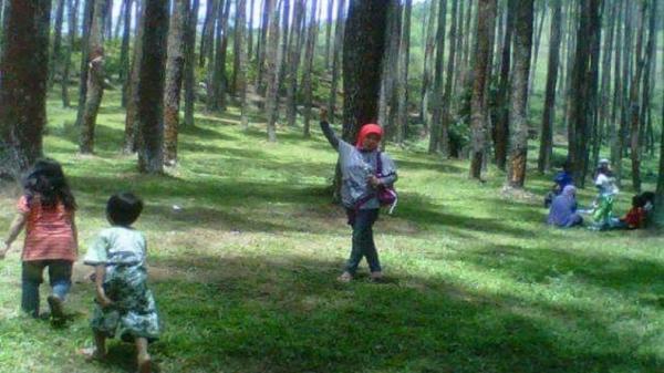 Pengunjung menikmati kesejukan hutan pinus Batu Kuda, Kampung Cikoneng, Cibiru Wetan, Kabupaten Bandung. (FOTO: ISTIMEWA)