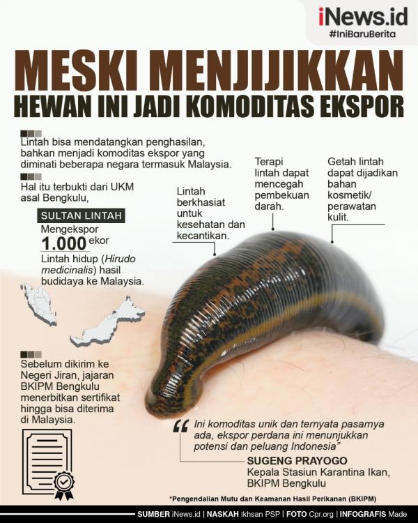Infografis Meski Menjijikan, Hewan Ini Ternyata Jadi Komoditas Ekspor 
