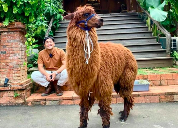 Artis Punya Kebun Binatang Pribadi. (Foto: Instagram)