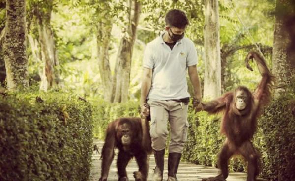 Bali Zoo Park (Foto: Instagram @balizoopark)