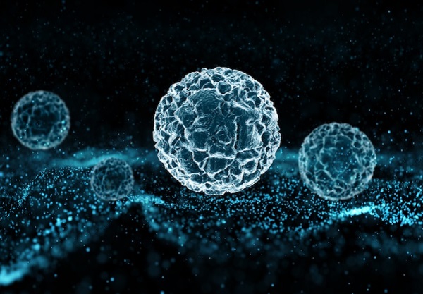 Perbedaan Struktur Sel Prokariotik dan Sel Eukariotik beserta Penjelasannya