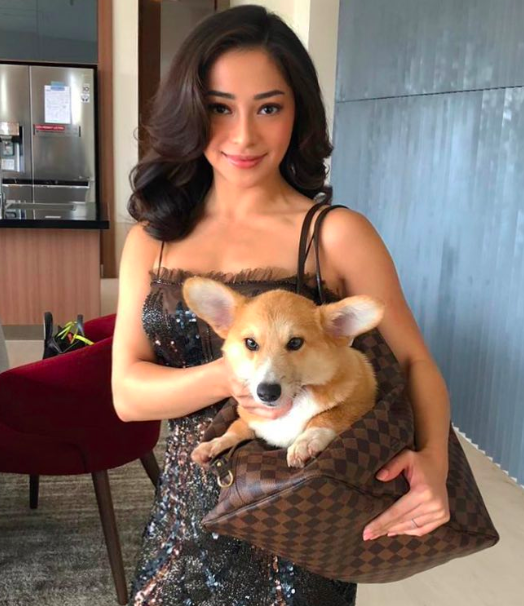 Artis Cantik Memelihara Anjing. (Foto: Instagram)
