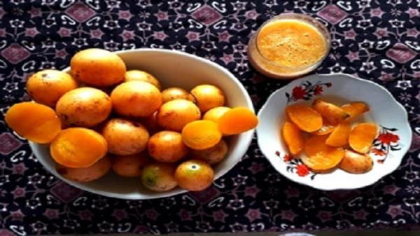 Daftar Buah Langka Jadi Nama Daerah di Jakarta, Buah Gandaria (Foto: Dok Balai Pertanian)