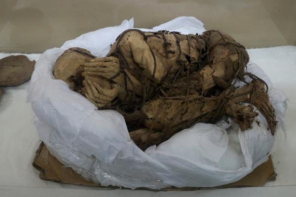Mumi Berusia 8 Abad Ditemukan di Ibu Kota Peru