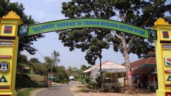 Taman Hutan Kera Bandar Lampung Taman Hutan Kera Bandar Lampung (Foto: Antara/Mapionet)