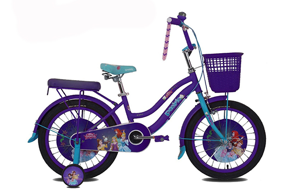 Pacific Bike 5 Foto: Pacific Bike