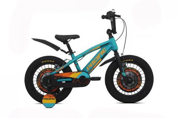 Pacific Bike 6 Foto: Pacific Bike