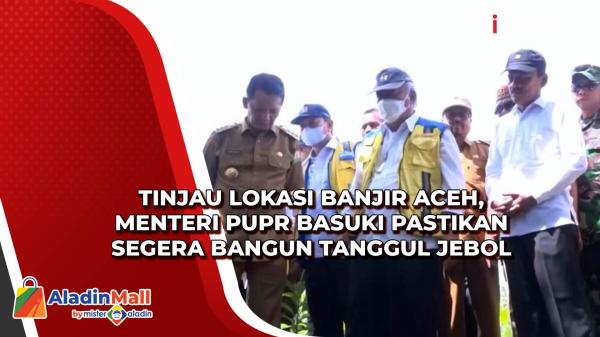 Tinjau Lokasi Banjir Aceh, Menteri PUPR Basuki Pastikan Segera Bangun ...