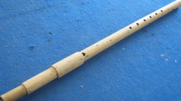 Alat musik Lampung, Serdam Alat musik Lampung, Serdam (malahayati.ac.id)