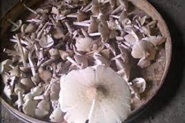 Paypoq porno anal jinsiy aloqa