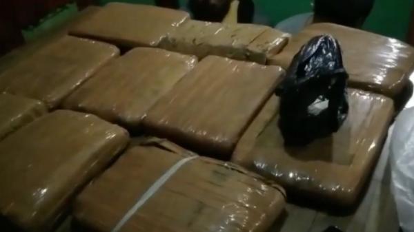 Ganja 10 kg Barang bukti 10 Kg ganja yang diamankan dari kedua pengedar di Tanah Datar, Sumbar (Agus Sulistyo/MNC Portal)