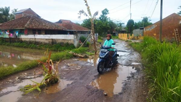 Warga Cihampelas KBB Ancam Golput, Pemda Janji Perbaiki Jalan Rusak ...