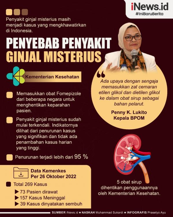 Infografis mengenal penyakit ginjal misterius. (Foto: tim grafis)