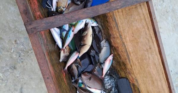 KKP Amankan Pelaku Pengeboman Ikan di Banggai Laut Sulteng