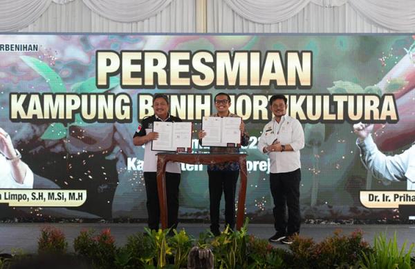 Petani Purworejo Sukses Produksi Benih Hortikultura, Beromzet Rp140 Miliar per Tahun