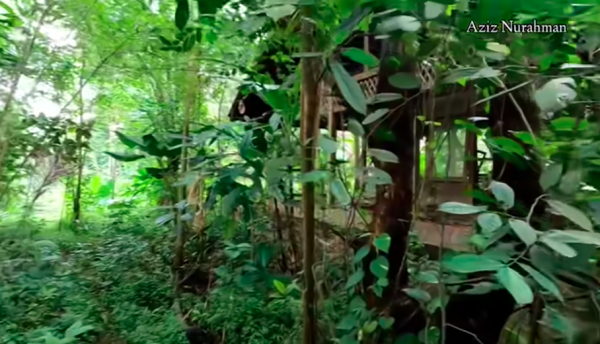 Screen Shot 2022 11 13 At 15 05 41 Rumah Artis Terbangkalai Ditumbuhi Pohon Liar Angker