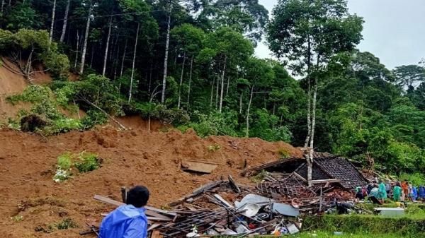 Longsor di Pesisir Barat Lampung, Satu Keluarga Tewas Tertimbun Tanah