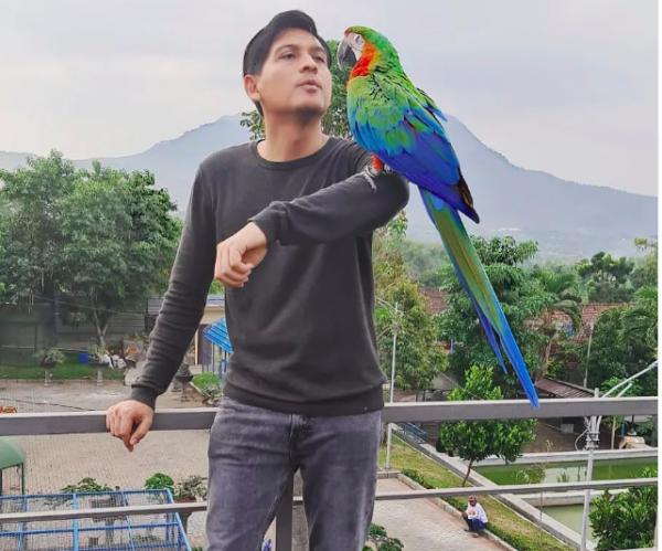 Artis punya aviary raksasa pelihara ratusan jenis burung langka. (Foto: Instagram)