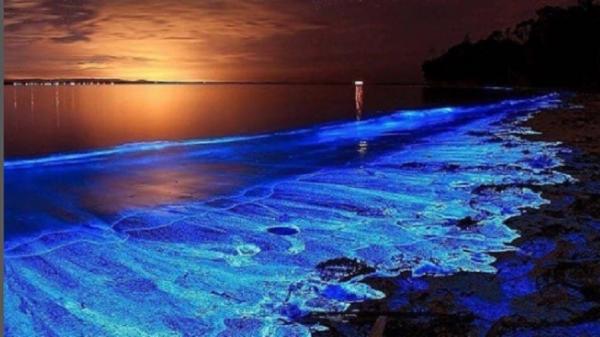 Pasir pantai berwarna unik di dunia, Pulau Vaadhoo Maladewa (Foto: Instagram/Ade Tour)