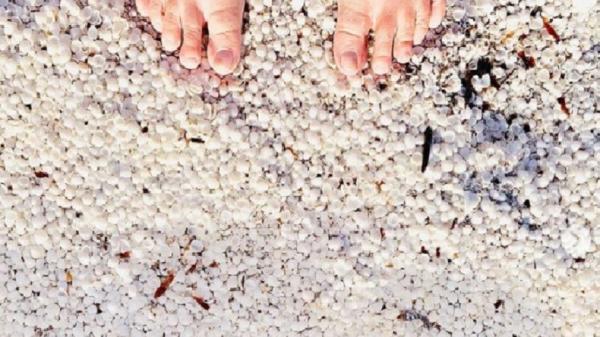 Pasir pantai berwarna unik di dunia, Shark Bay Australia (Foto: instagram/Karlskoolrv)