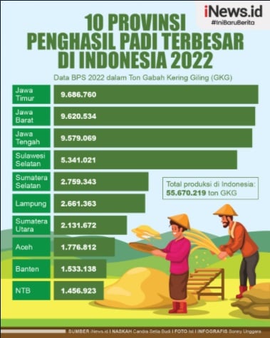 Infografis 10 Provinsi Penghasil Padi Di Indonesia, Terbesar Di Pulau Jawa