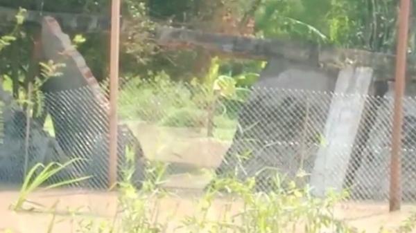 Tembok tempat penangkaran buaya di lahan seluas 20 hektare di Batubara, Sumatera Utara jebol diterjang banjir. (Foto: Faldy Pelka).