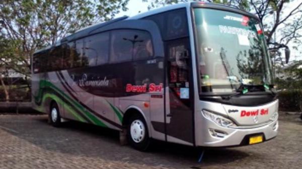 5 Pejabat Pemilik PO Bus Di Indonesia, Ada Bupati Hingga Anggota DPR