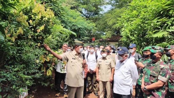 Pohon Beringin dari Istana Merdeka Bakal Ditanam di Kantor Presiden dan Wapres IKN Nusantara
