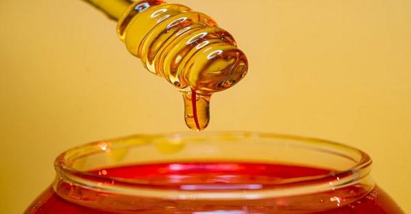 Madu nutuk menghilangkan kolesterol usai makan daging. 