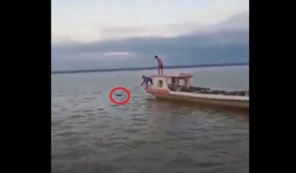 Mayat Nunukan Tangkapan layar video amatir penemuan mayat ABK di perairan Nunukan, Kalimantan Utara. (Foto: Usman Coddang)