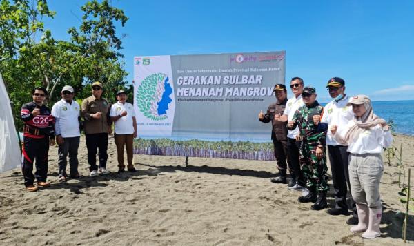 Gerakan Sulbar Menanam Mangrove. (Foto: dok Pemkab Pasangkayu)
