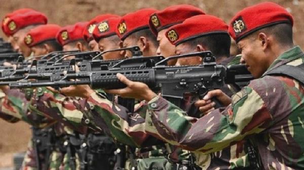 Sejarah Singkat Dan Struktur Organisasi Korps Baret Merah Kopassus Tni