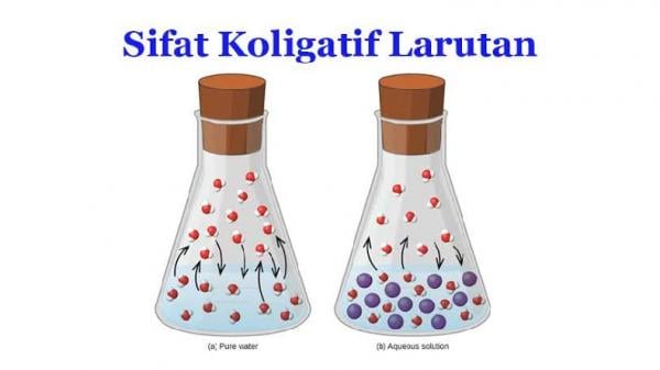 Sifat Koligatif Larutan Dan Klasifikasinya