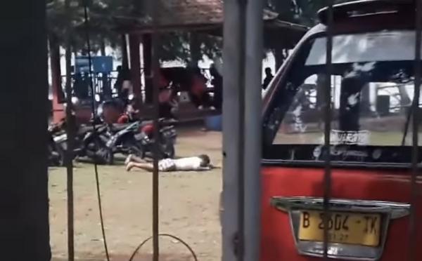 Viral Serangan Kawanan Tawon di Cibubur, Juru Parkir Sampai Berguling-guling