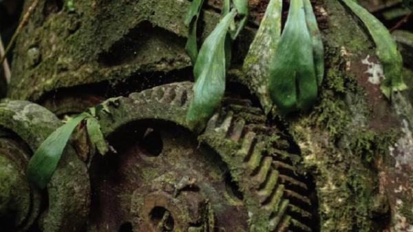 Tank sisa pertempuran tentara sekutu dengan Jepang di sekitar hutan Sausapor, Papua Barat Daya ditumbuhi tanaman menjalar dan lumut. (Foto: Dok. TNI AL).