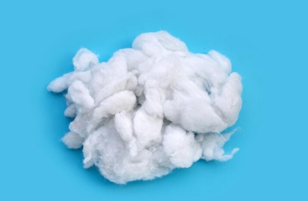 Serat Tumbuhan dan Manfaatnya bagi Kehidupan Manusia, Beserta Jenis-jenisnya