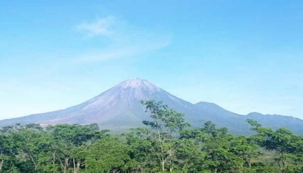 Status Siaga, Gunung Semeru Alami Gempa Erupsi Setiap Hari