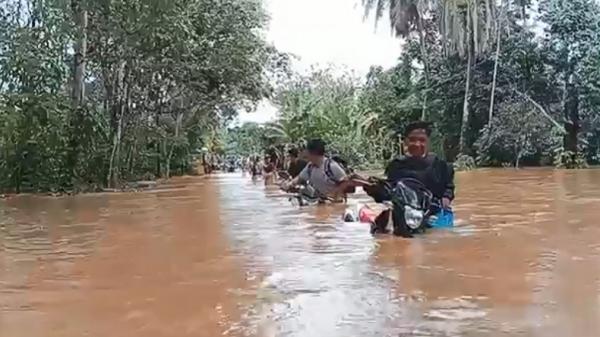 Sejumlah pemotor nekat melintasi banjir di Madina Sejumlah pemotor nekat melintasi banjir di Madina, Senin (12/12/2022). (Foto: iNews/Ahmad Husein Lubis )