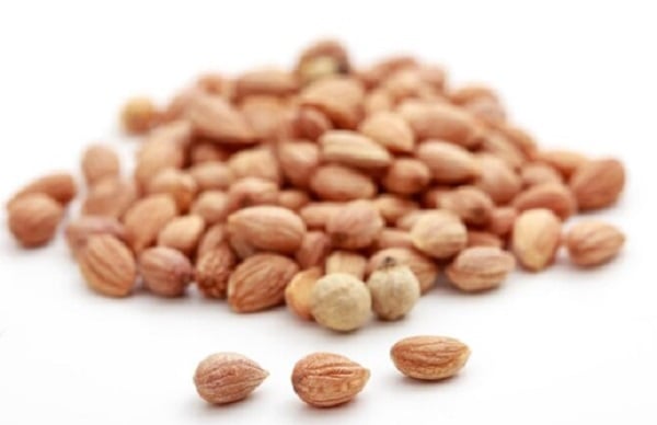 Rempah paling mahal di dunia, mahlab Rempah paling mahal di dunia, mahlab (Freepik)